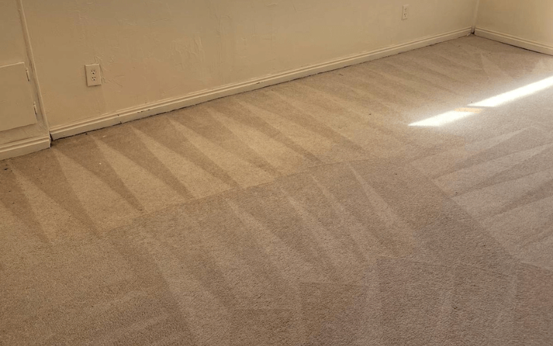 How to Choose the Right Carpet Cleaner in Midvale, UT?