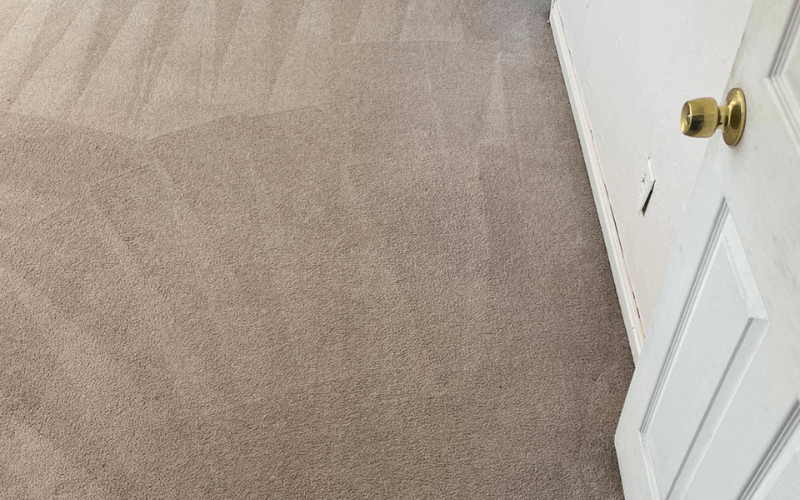 How to Remove Common Stains From Carpets?